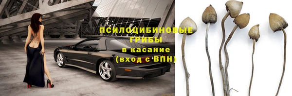 прущий лед Арсеньев