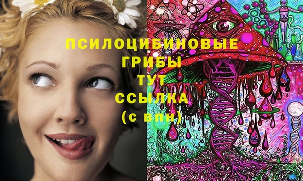 метадон Армянск