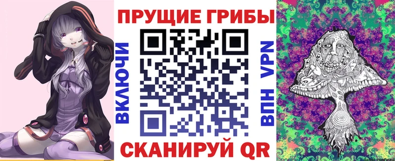 Галлюциногенные грибы Cubensis  даркнет сайт  Моздок 